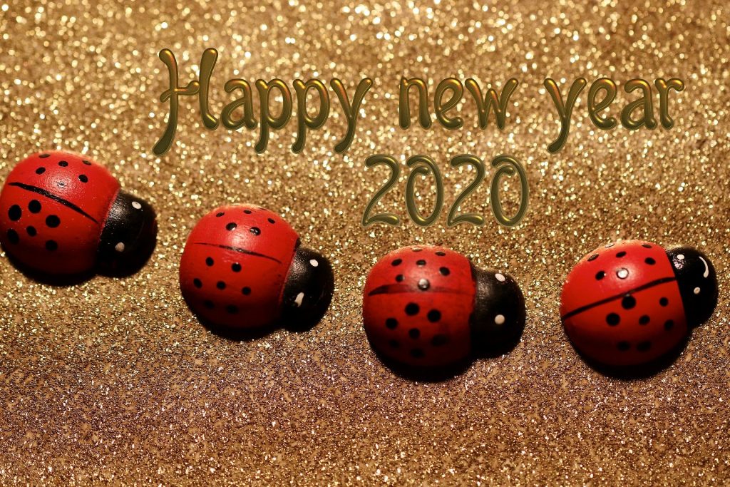 5 Questions for your New Year’s Resolutions