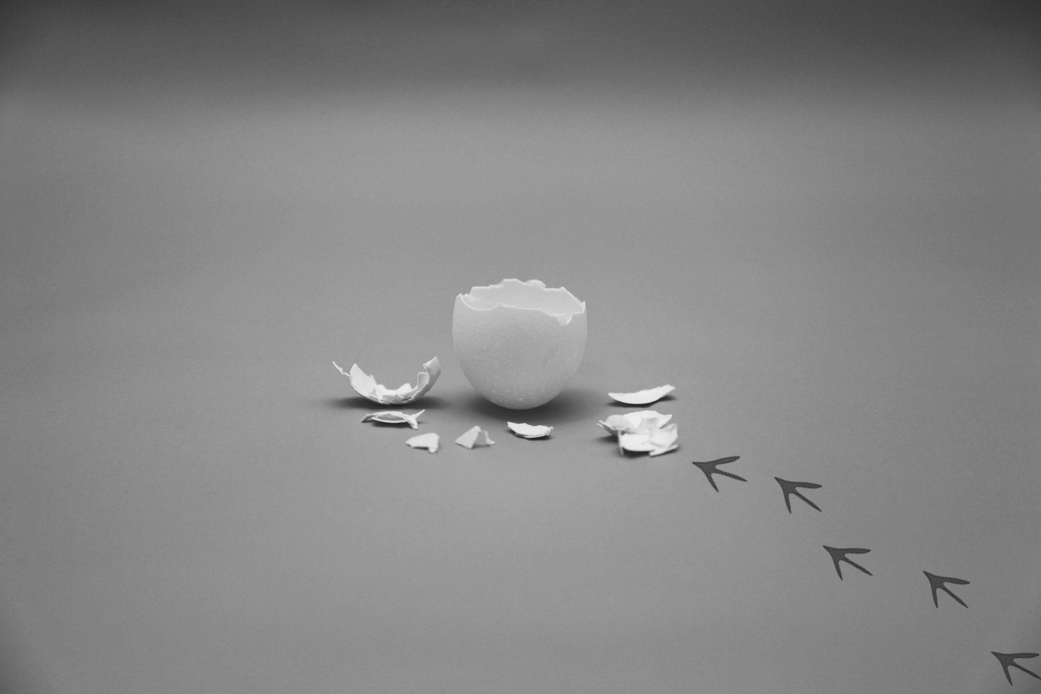 Hatched or Gone Bad